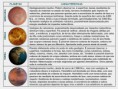Geologia: Tema 2 - Capitulo 2 - A Terra e os planetas telúricos